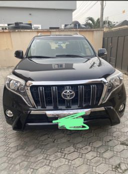 2014 Toyota Prado