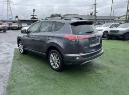 
										2019 Toyota RAV4 full									