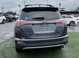 
										2019 Toyota RAV4 full									