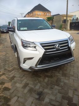 
										2019 Lexus GX460 full									