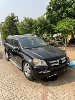 
										2010 Mercedes-Benz GL 550 full									