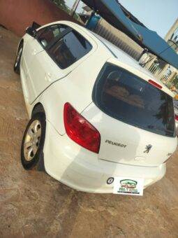 
										2005 Peugeot 207 Compact full									