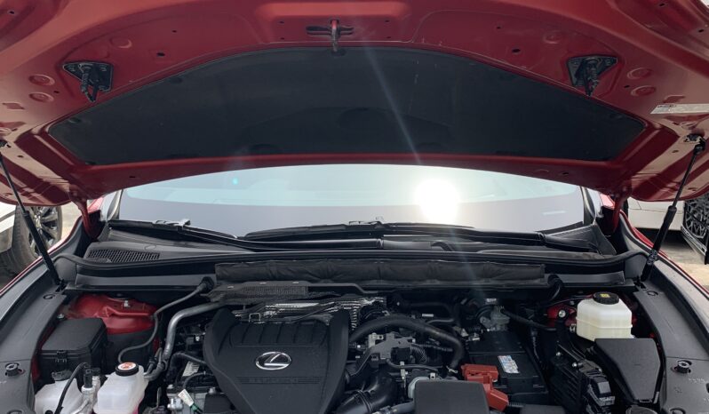 
								2024 Lexus RX350 full									