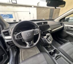 
										2019 Honda CR-V full									
